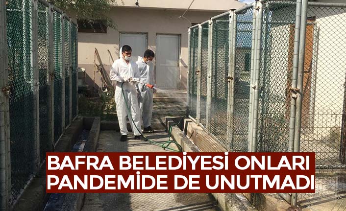BAFRA BELEDİYESİ ONLARI PANDEMİDE DE UNUTMADI