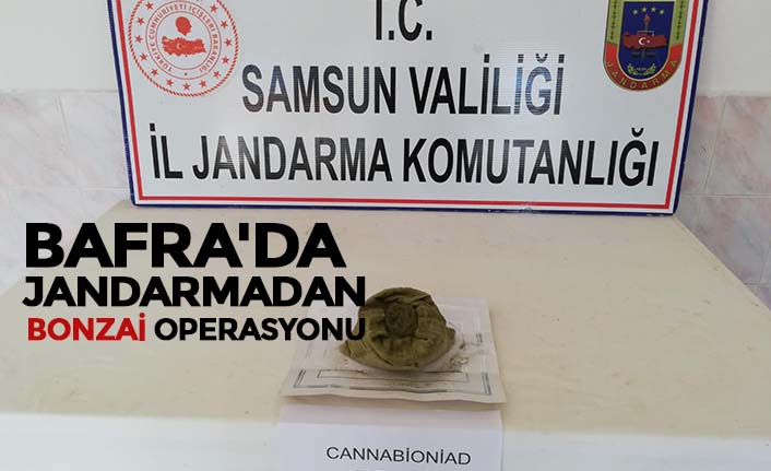 BAFRA'DA JANDARMADAN BONZAİ OPERASYONU