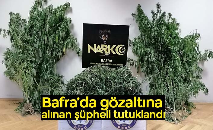 Bafra’da gözaltına alınan şüpheli tutuklandı