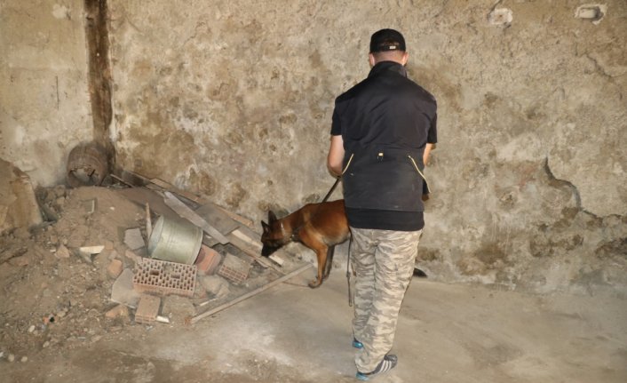 Bolu'da narkotik köpekleri 