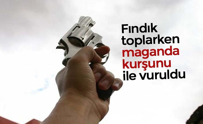 Fındık toplarken göğsüne kurşun isabet eden çocuk öldü