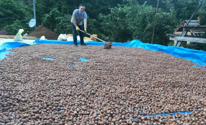 Fındık üreticisine lisanslı depo daveti