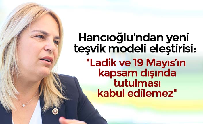 Hancıoğlu'ndan yeni teşvik modeli eleştirisi: