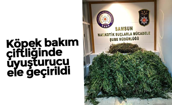 Köpek bakım çiftliğinde uyuşturucu ele geçirildi