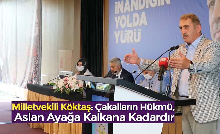 Milletvekili Köktaş: Çakalların Hükmü, Aslan Ayağa Kalkana Kadardır