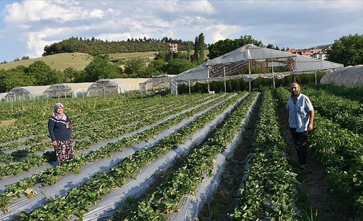 Omuz omuza veren çift 17 yıldır ekmeklerini topraktan kazanıyor