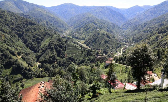 Rize'de 3 köy karantinaya alındı