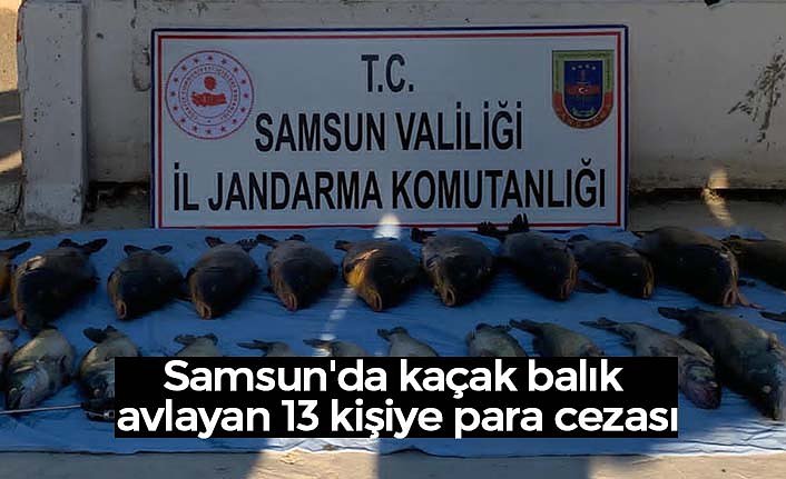 Samsun'da kaçak balık avlayan 13 kişiye para cezası