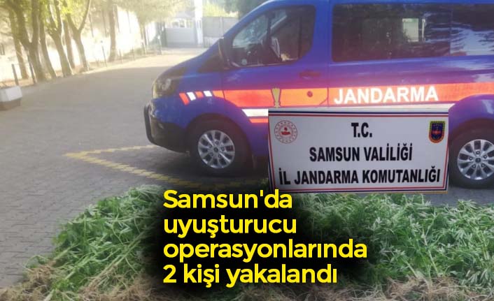 Samsun'da uyuşturucu operasyonlarında 2 kişi yakalandı