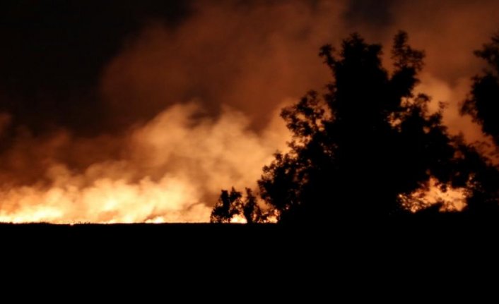 Samsun’da sazlık alanda yangın çıktı