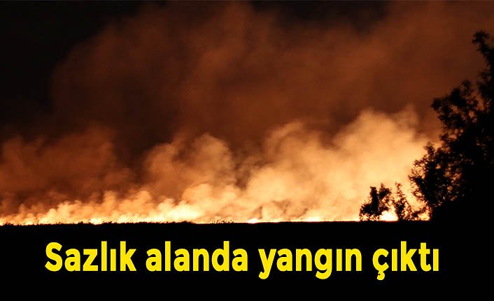 Sazlık alanda yangın çıktı