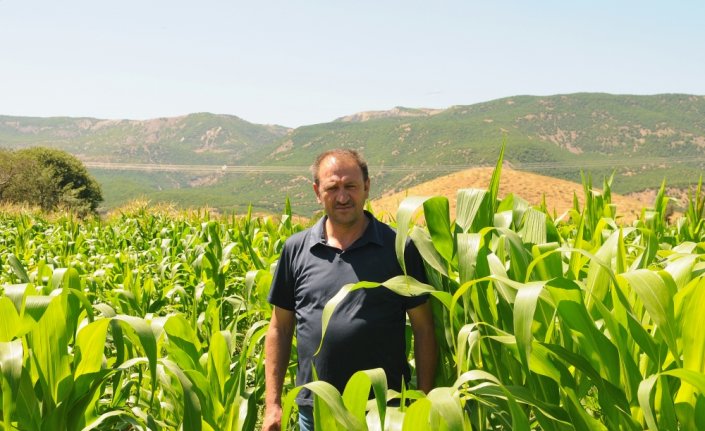SÜTAŞ'ın sağmal inekleri Bingöl'deki çiftliklere getirildi