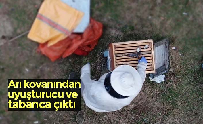 Arı kovanından uyuşturucu ve tabanca çıktı