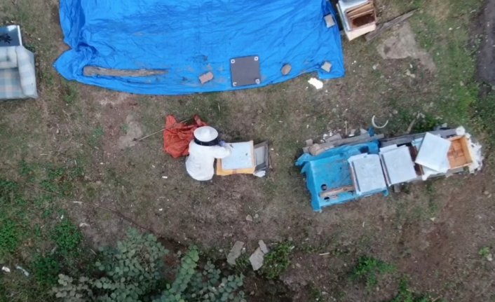 Arı kovanından uyuşturucu ve tabanca çıktı