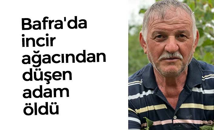 Bafra'da incir ağacından düşen adam öldü
