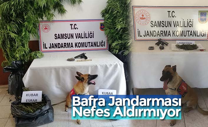 Bafra Jandarması Nefes Aldırmıyor