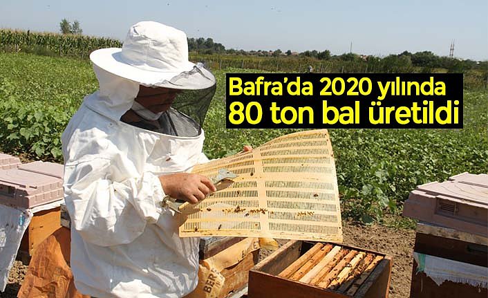Bafra’da 2020 yılında 80 ton bal üretildi