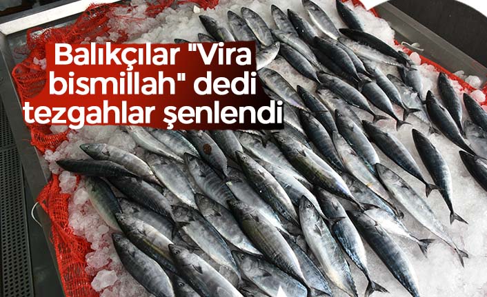 Balıkçılar "Vira bismillah" dedi tezgahlar şenlendi