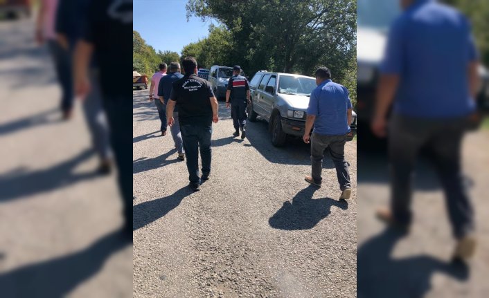 Bartın'da uyuşturulan 20 köpeğin yol kenarına bırakılmasına inceleme