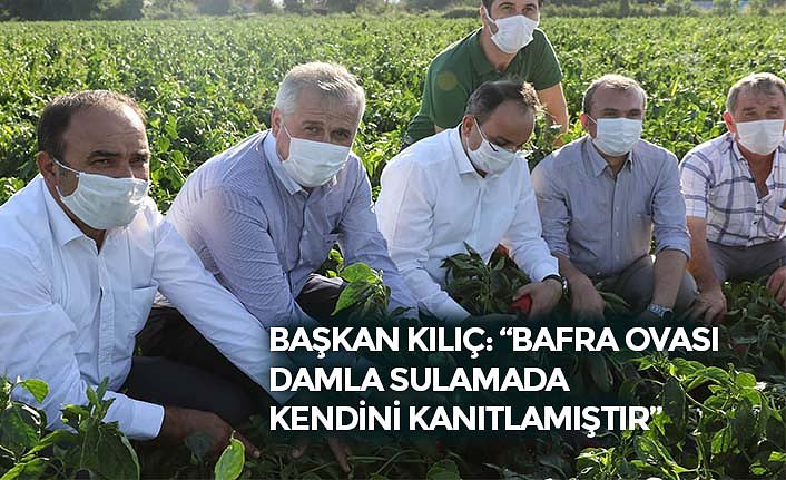 BAŞKAN KILIÇ: “BAFRA OVASI DAMLA SULAMADA KENDİNİ KANITLAMIŞTIR”