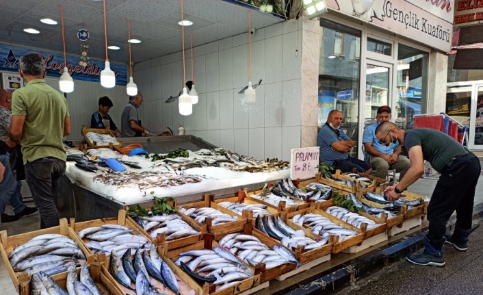 Bereketli geçen sezon balıkçıları mutlu ediyor