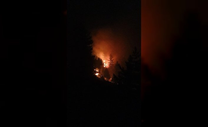Bolu Aladağ Yaylası'nda çıkan orman yangını kontrol altına alındı