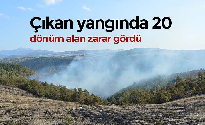 Çıkan yangında 20 dönüm alan zarar gördü