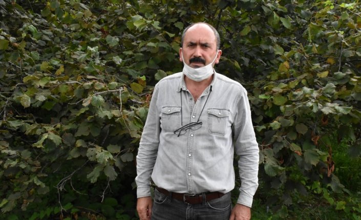 Fındık üreticileri, TMO'nun ardından serbest piyasada artan fiyatlardan memnun