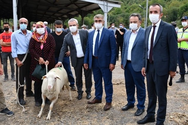 Karabük'te üreticilere damızlık koç dağıtıldı