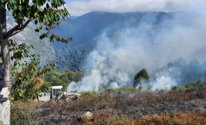 Kastamonu'da anız yangını ormanlık alana sıçramadan söndürüldü