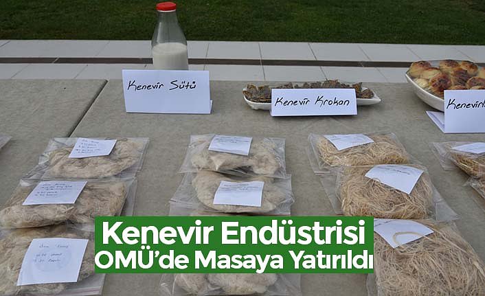 Kenevir Endüstrisi OMÜ’de Masaya Yatırıldı