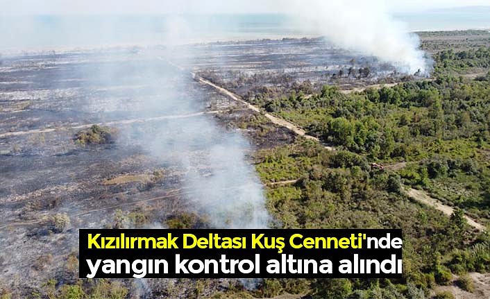  Kızılırmak Deltası Kuş Cenneti'nde yangın kontrol altına alındı