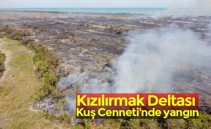 Kızılırmak Deltası Kuş Cenneti'nde yangın