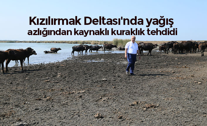 Kızılırmak Deltası'nda yağış azlığından kaynaklı kuraklık tehdidi