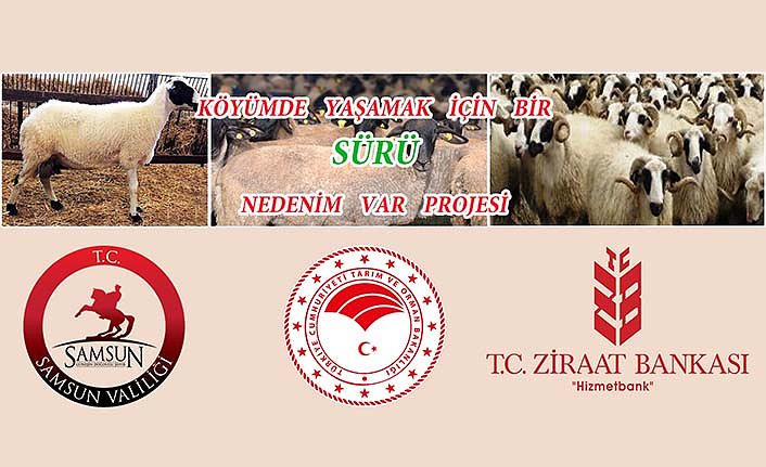 Köyümde Yaşamak İçin Bir Sürü Nedenim Var Projesi