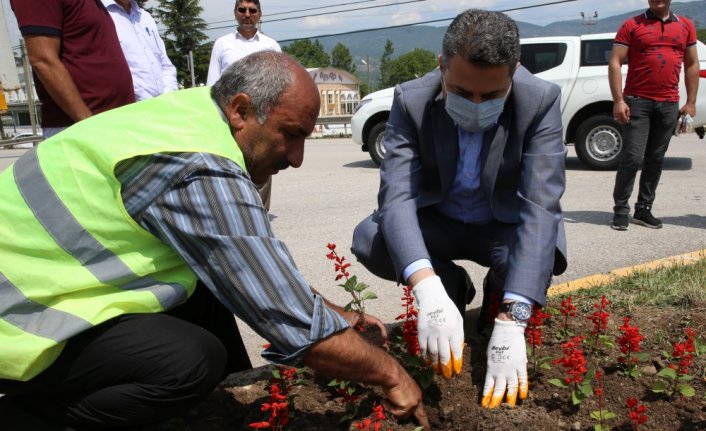 Tokat Belediyesi mevsimlik çiçek üretimine devam ediyor