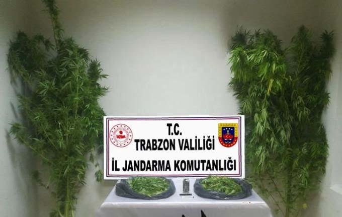 Trabzon'da 5,2 kilogram uyuşturucu ele geçirildi
