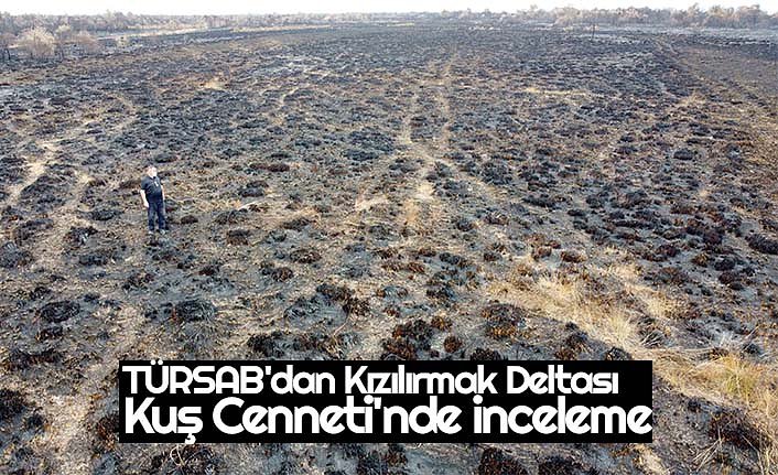 TÜRSAB'dan Kızılırmak Deltası Kuş Cenneti'nde inceleme