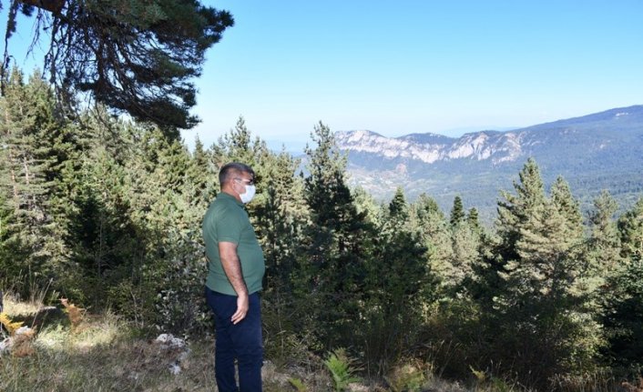 Vali Gürel, Keltepe Kayak Merkezinde incelemelerde bulundu