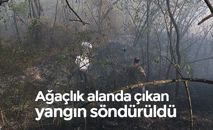 Ağaçlık alanda çıkan yangın söndürüldü