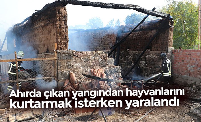Ahırda çıkan yangından hayvanlarını kurtarmak isterken yaralandı