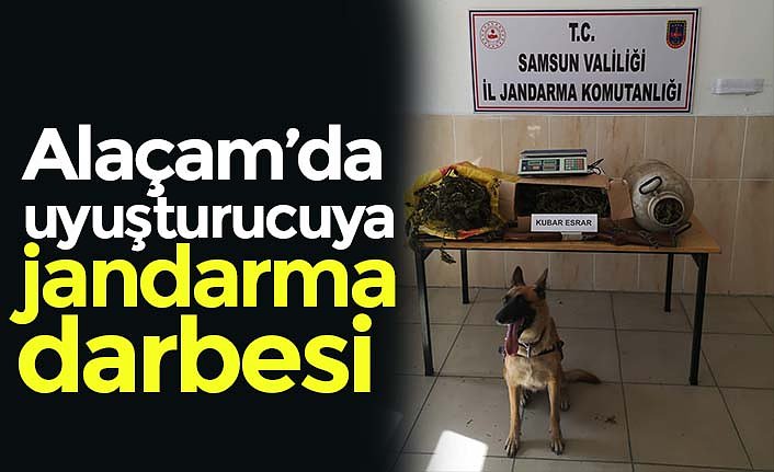 Alaçam’da uyuşturucuya jandarma darbesi