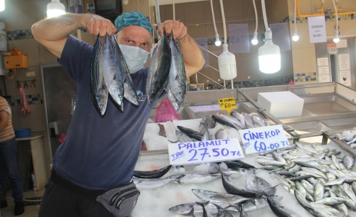 Avcılığı azalan palamudun tane fiyatı 27 liraya yükseldi