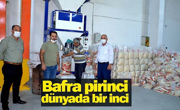 Bafra pirinci dünyada bir inci