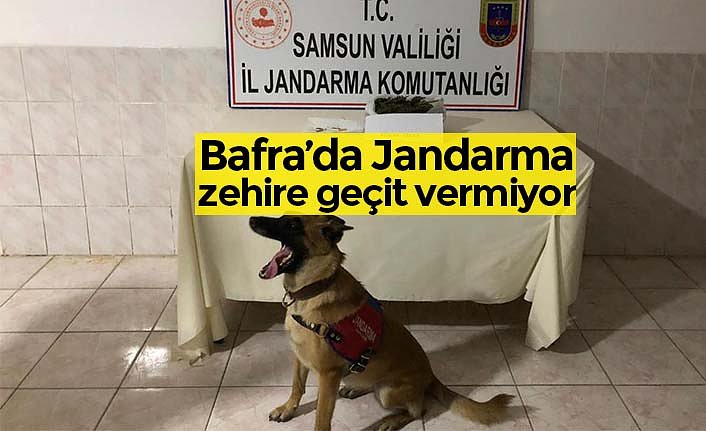 Bafra’da Jandarma zehire geçit vermiyor