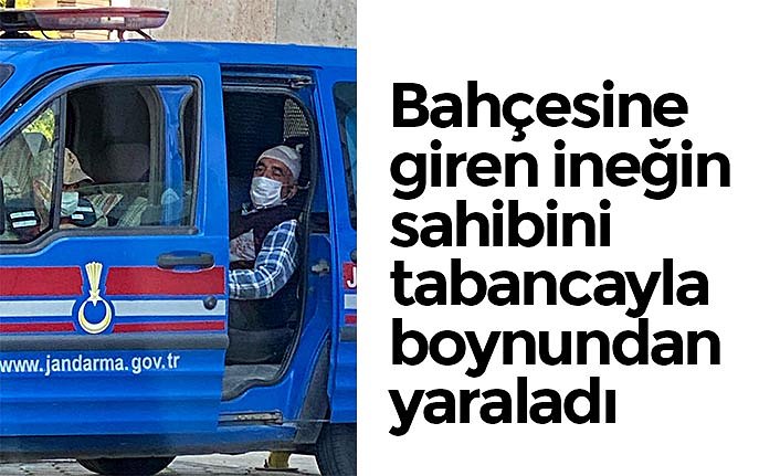 Bahçesine giren ineğin sahibini tabancayla boynundan yaraladı