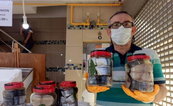 Bollaşan palamudun lakerdası erken yapıldı