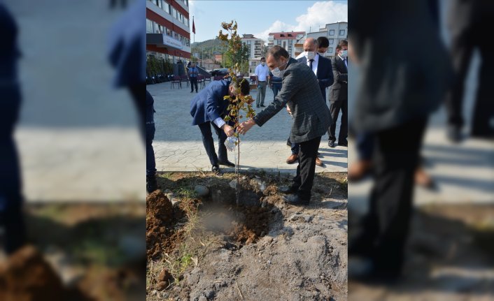 Fatsa'da okul bahçelerine fidan dikildi