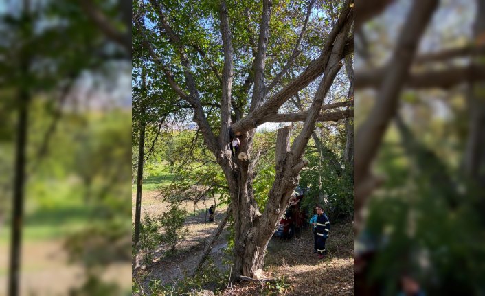 Gümüşhane'de ağaçta sıkışan kişi kurtarıldı