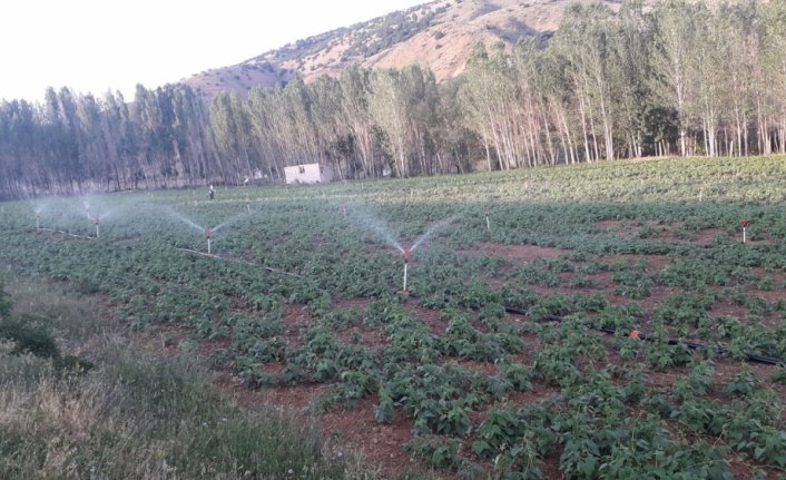 Gümüşhane'de suya kavuşan arazilerden ekonomiye 54 milyon liralık katkı